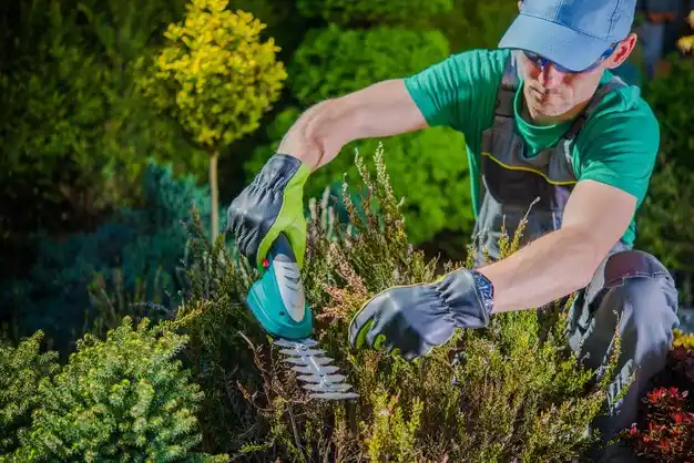landscaping services Lake Tomahawk
